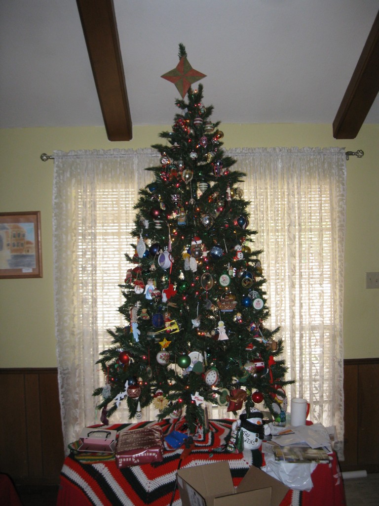 Bowen Christmas Tree 2012